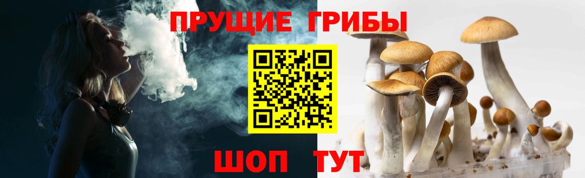 Псилоцибиновые грибы Psilocybine cubensis  Вход с VPN  Ишимбай  Псилоцибиновые грибы ЛСД 